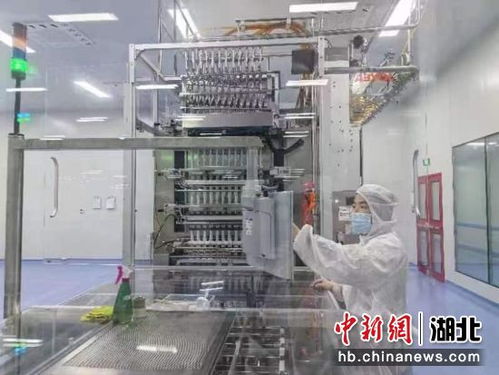 中新网湖北 湖北咸安 开年即开跑 冲刺 开门红