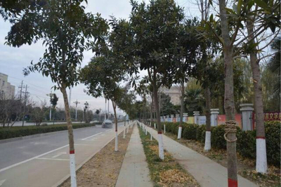 河南省西华县“以人民为中心”精准推进城市管理