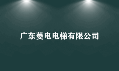 广东菱电电梯