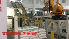 纸袋移动式自动码垛机 自动包装码垛生产线