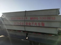 潍坊地磅与自动扶梯产业发展与市场前景分析